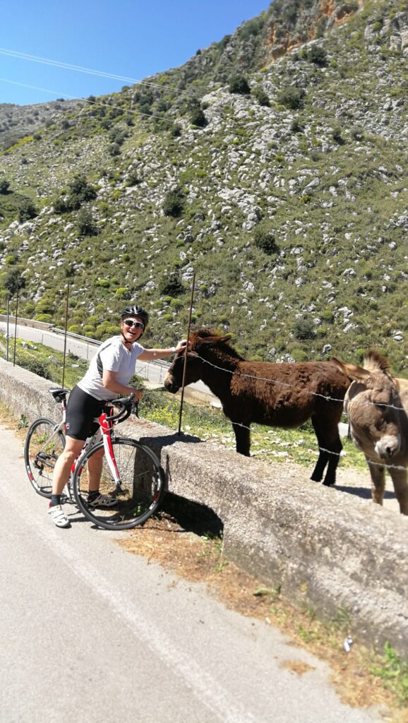 Geführte Touren mit dem Fahrrad Palermo