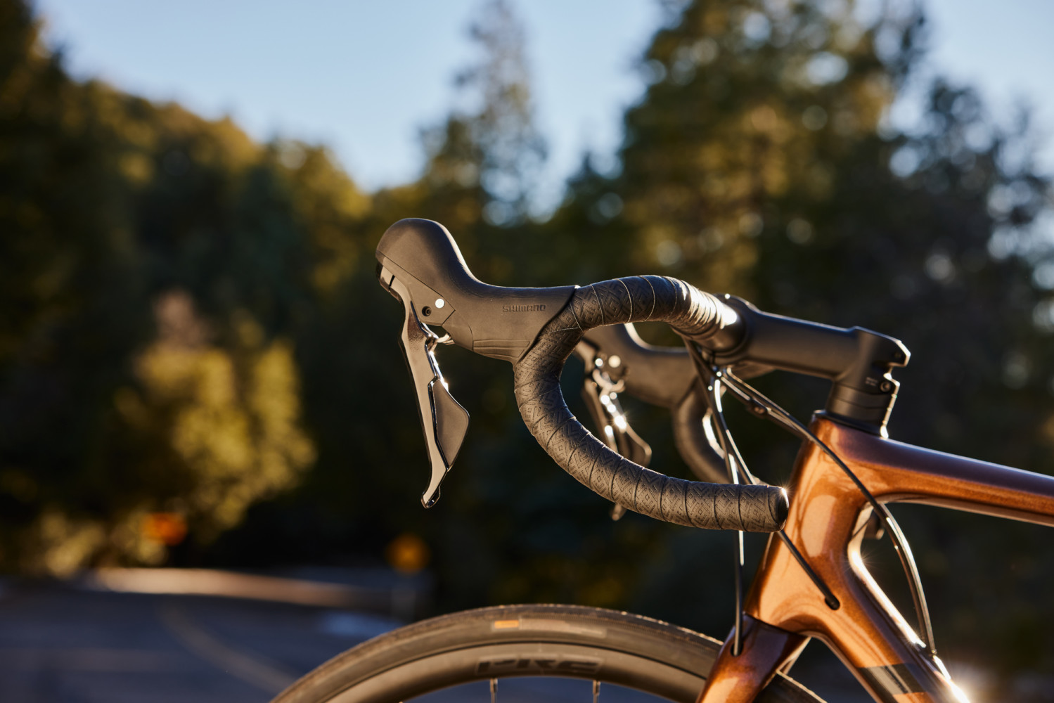 ROAD BIKE RENTAL PALERMO E SICILIA GRAVEL BIKE PALERMO
