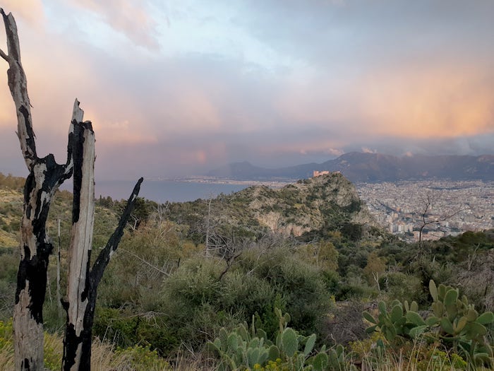 Experience Palermo Sicilia a Ruota libera