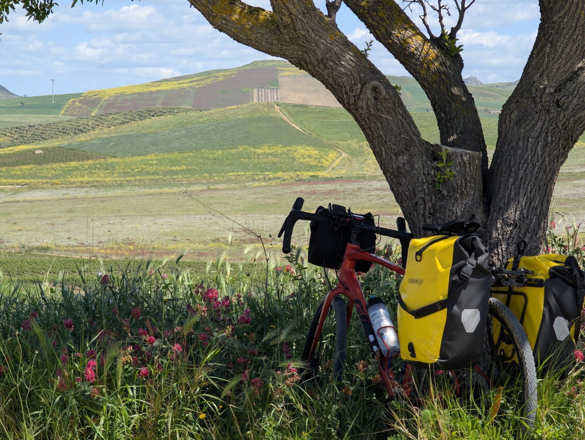 rent bikes sicily